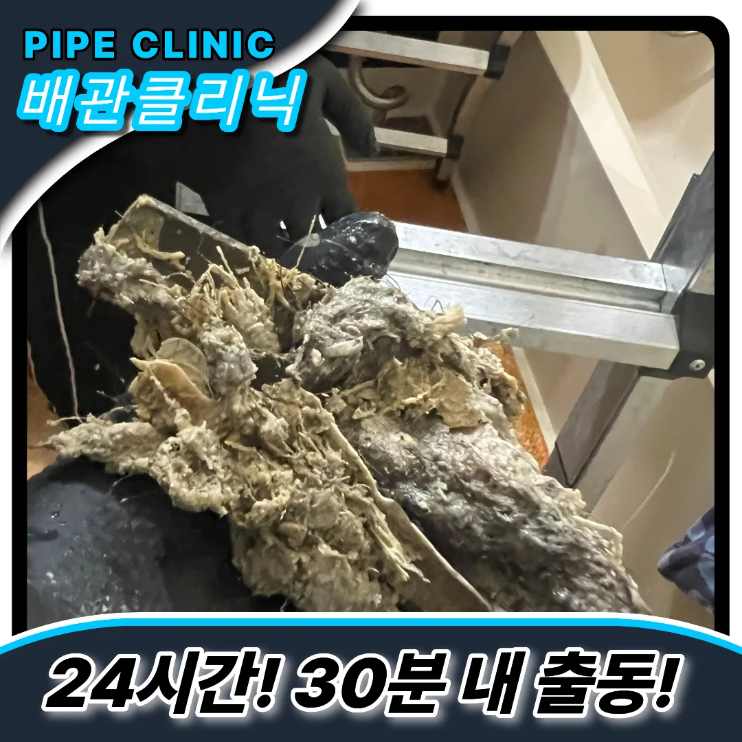 고압세척