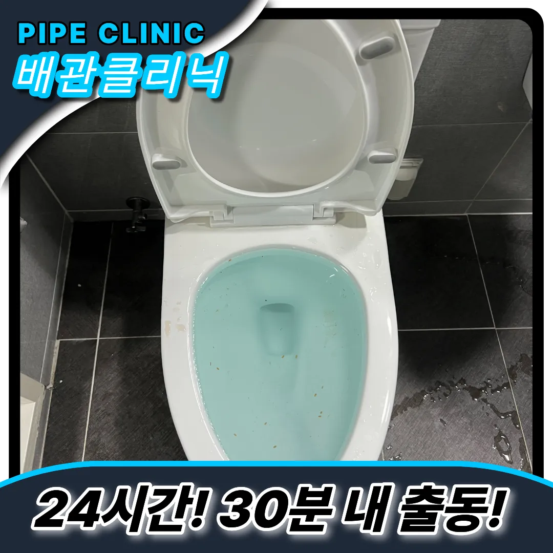 이물질제거비용