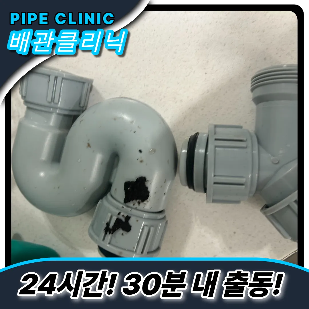 트랩교체