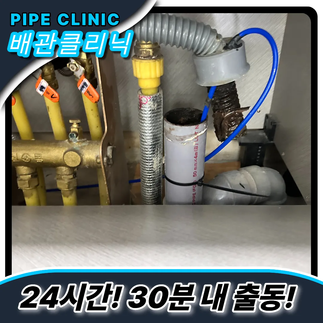고화질내시경