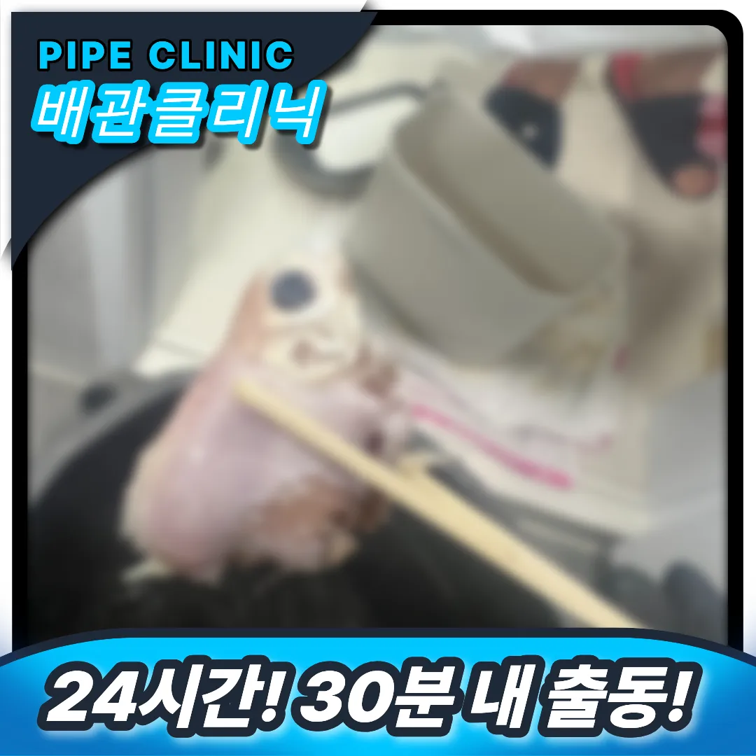 죽은물고기변기에