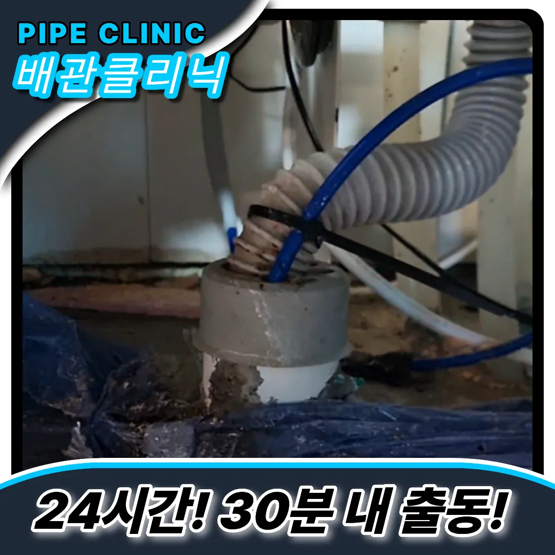 배수구트랩