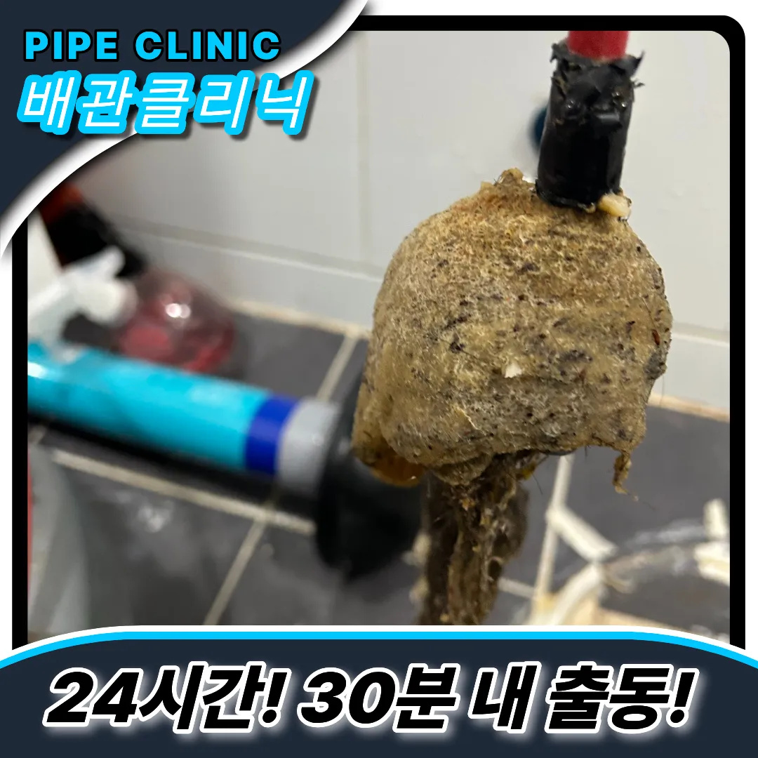 배관이물질