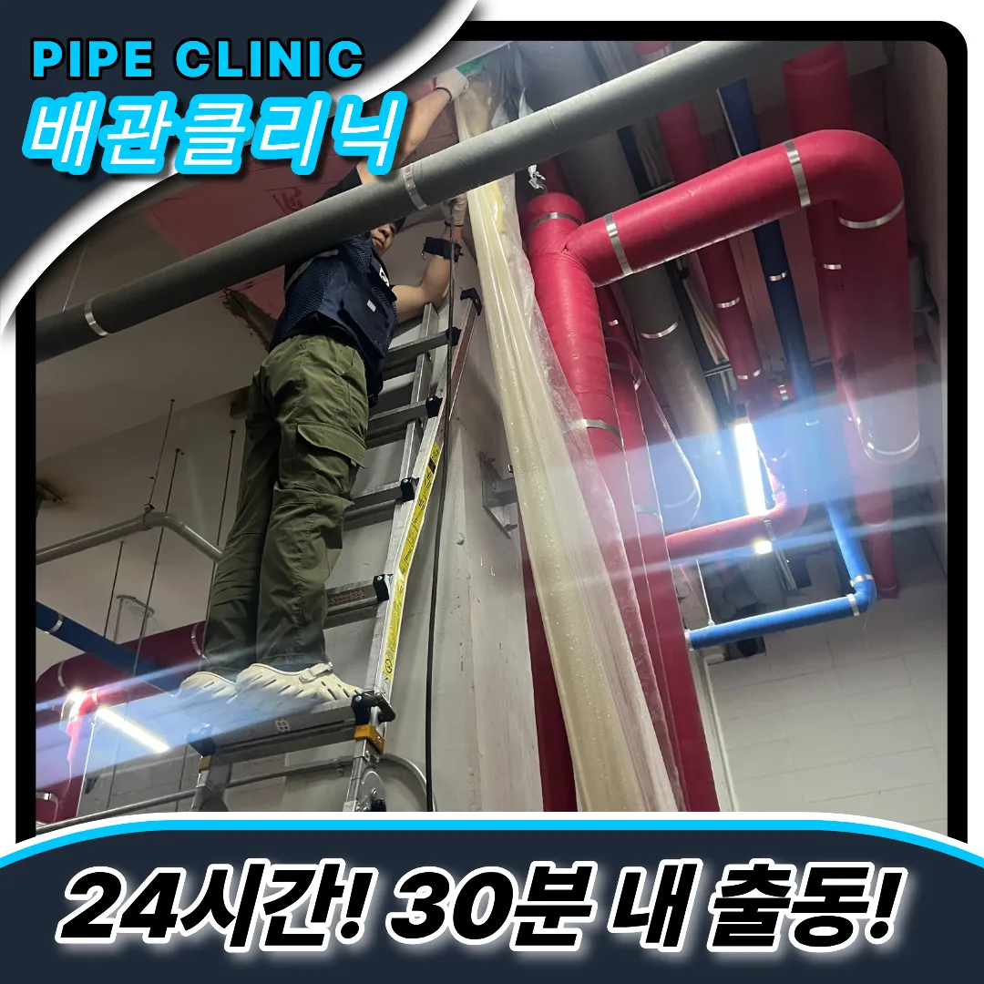 배관스케일링