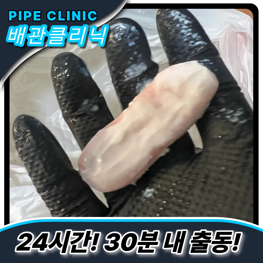 변기막힘비용