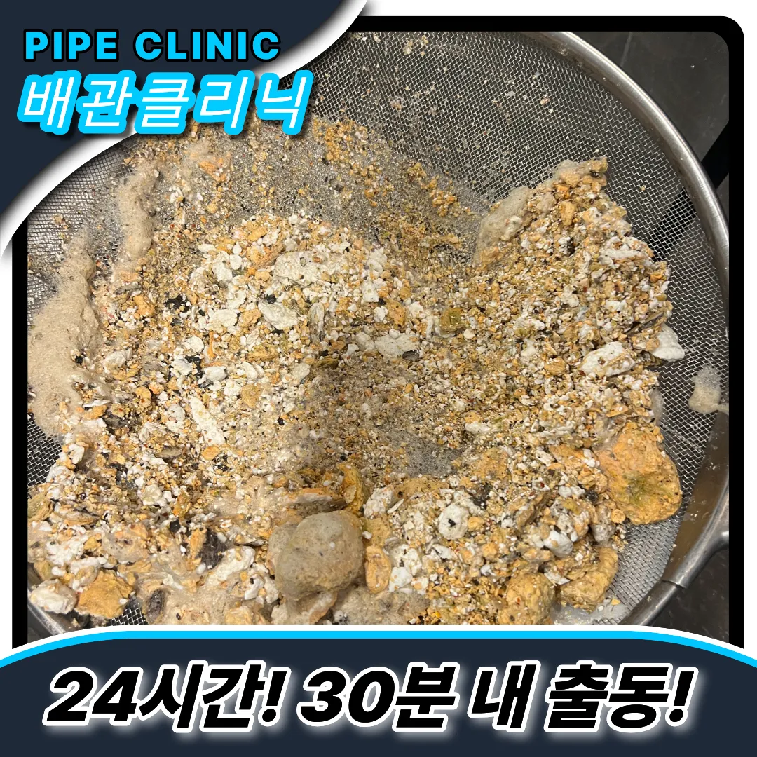 별내동하수구역류
