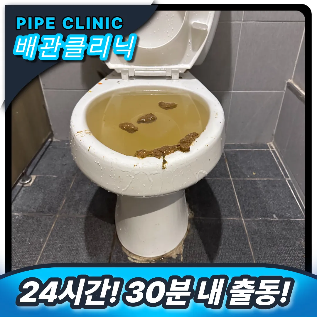 변기막힘