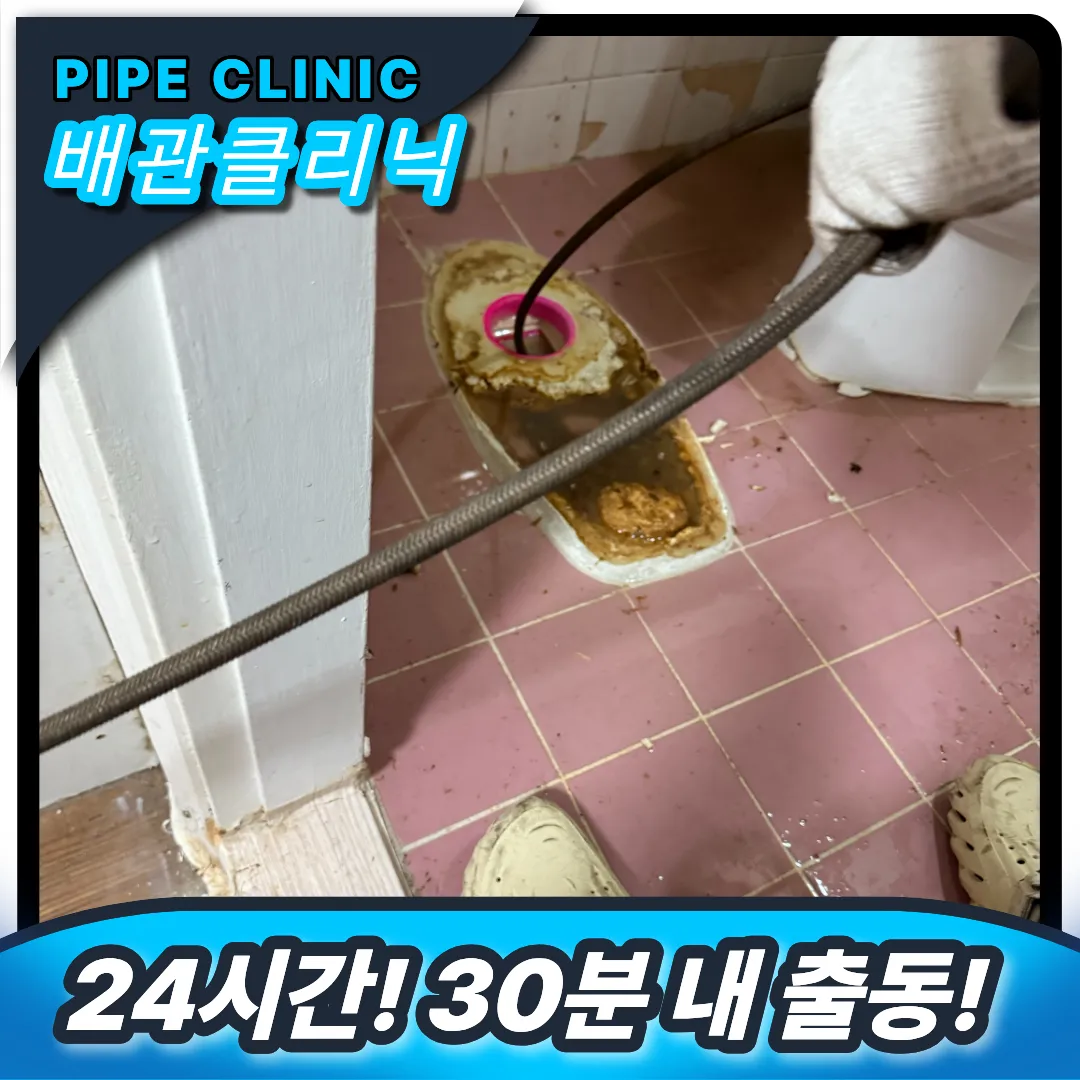 변기역류