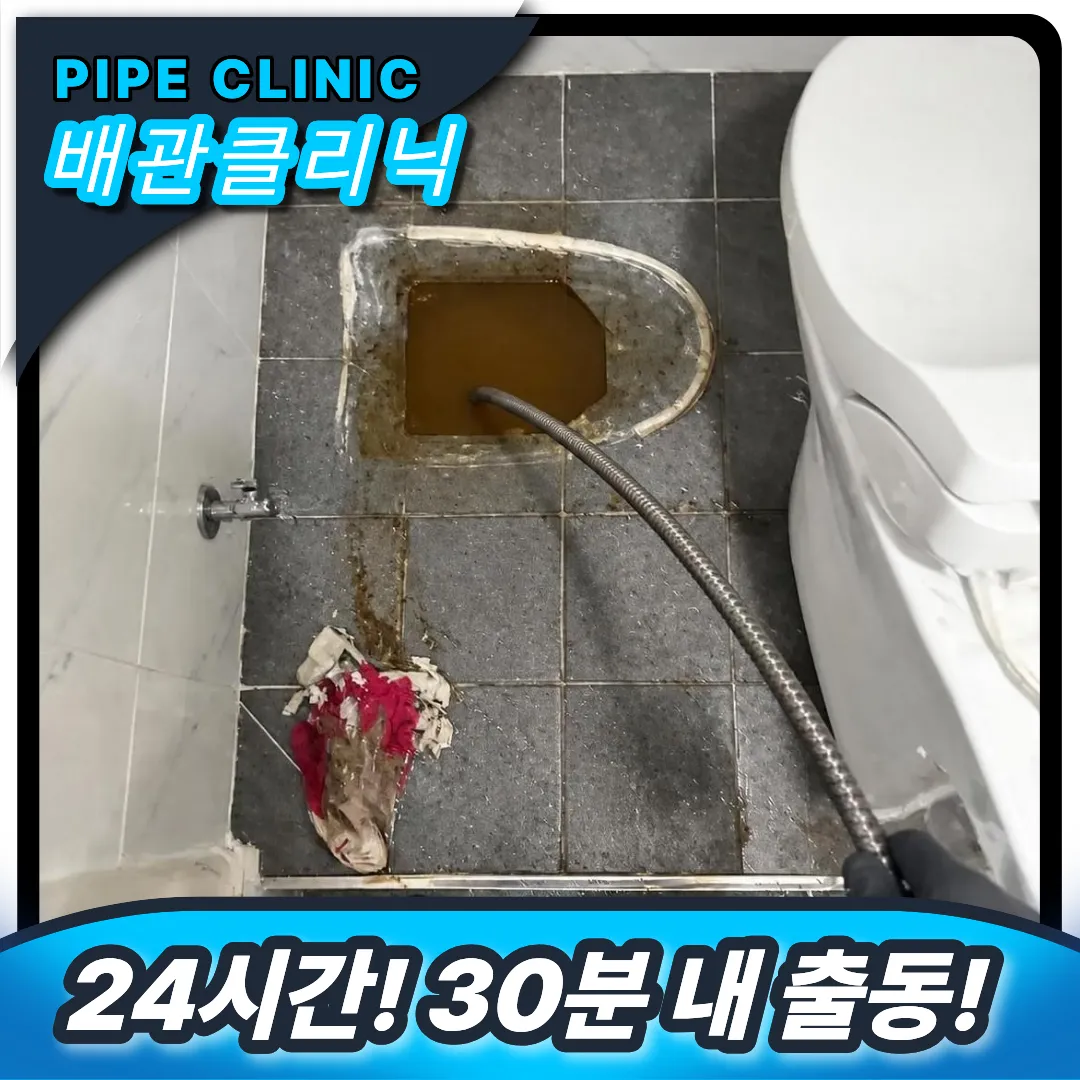 변기역류