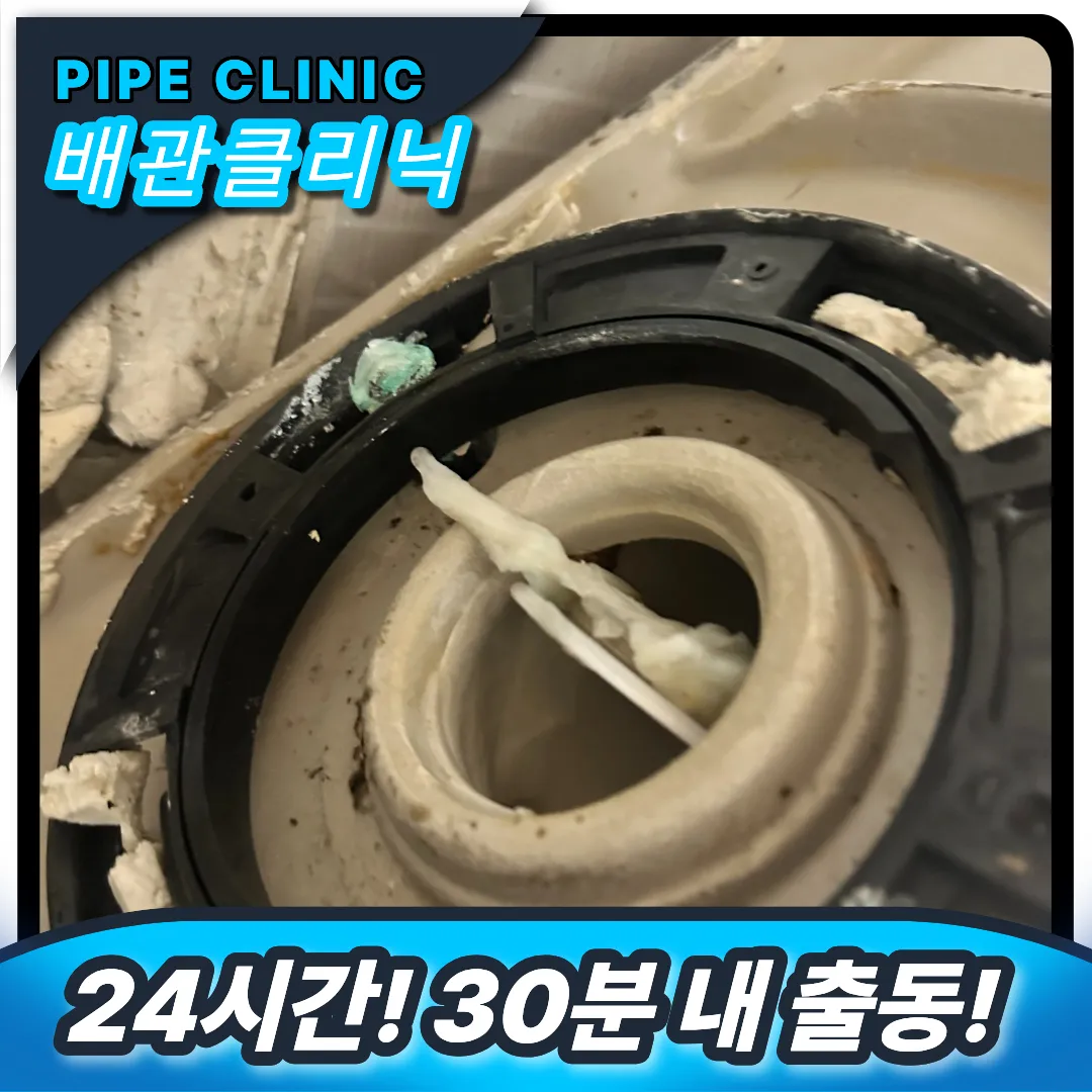 정심 이물질