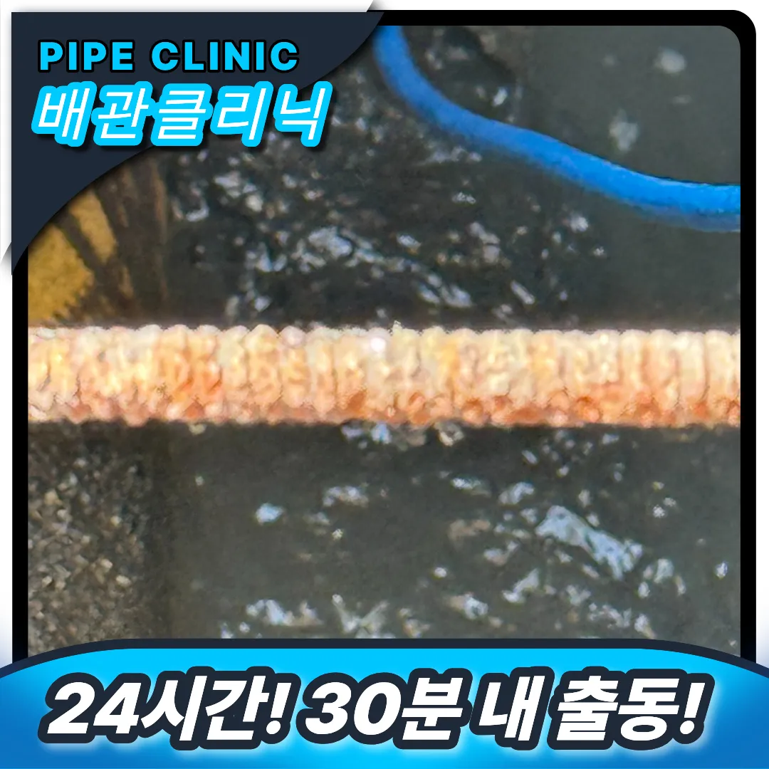 회기동 하수구막힘
