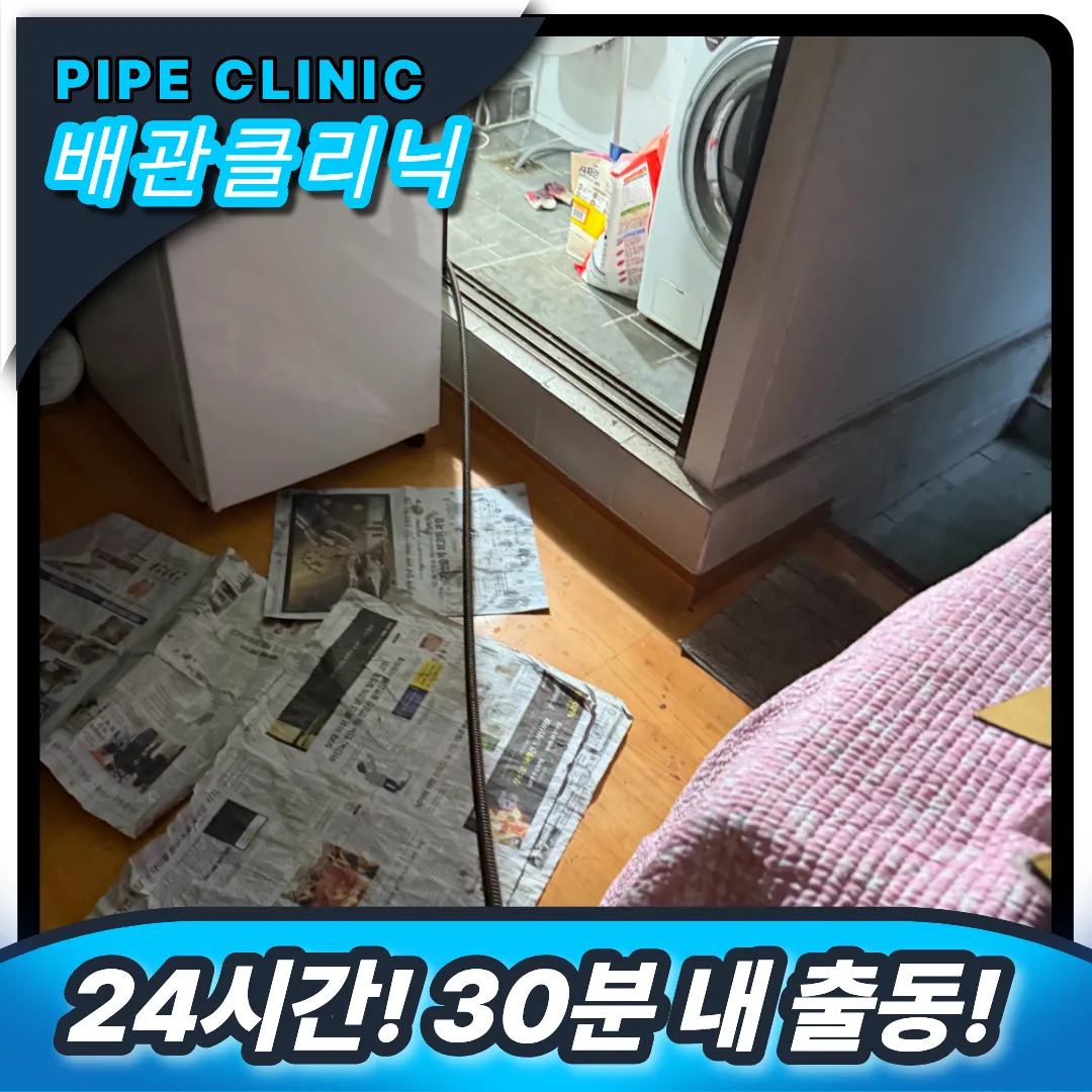 고양시 덕양구 변기역류