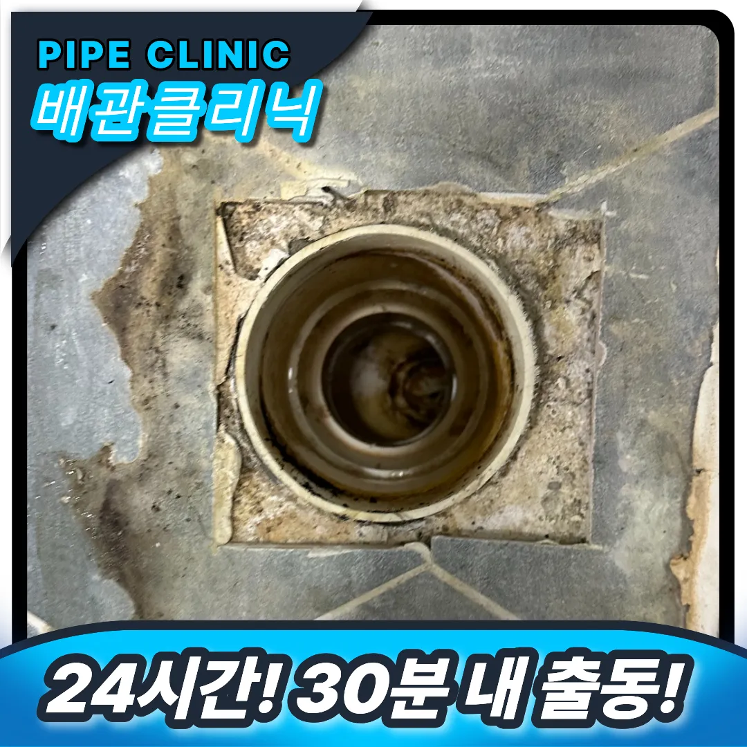 신수동 변기역류