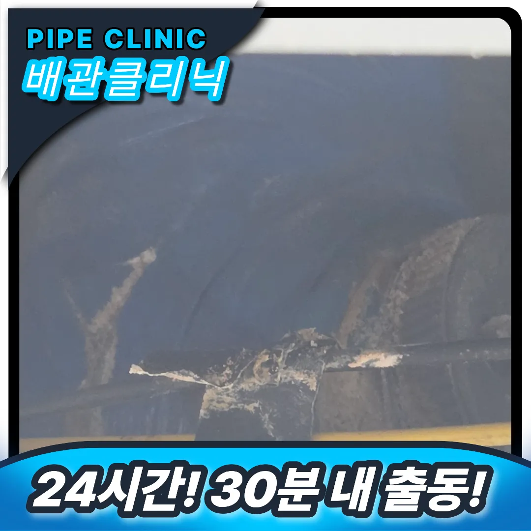 싱크대 냄새