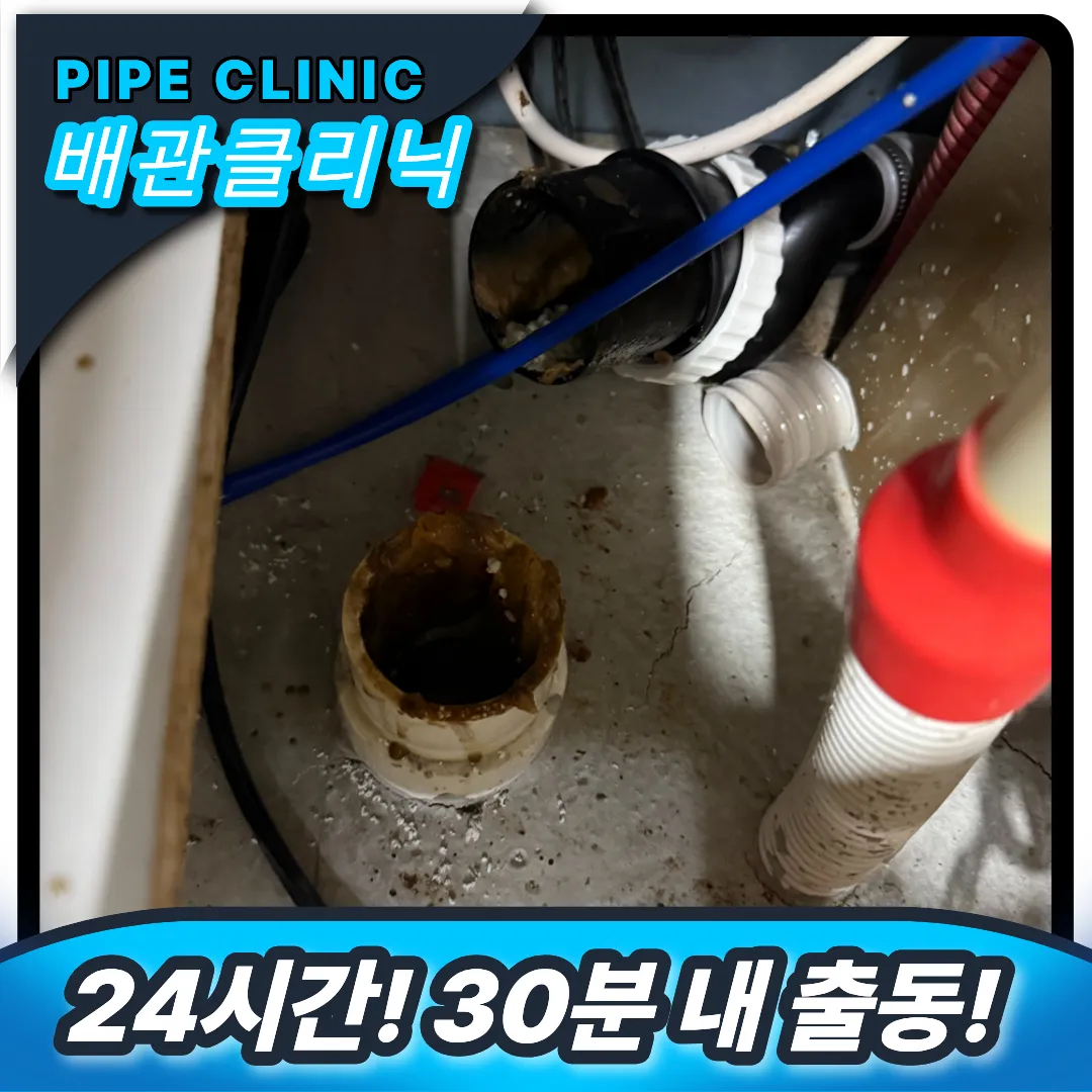 싱크대 분리 세척