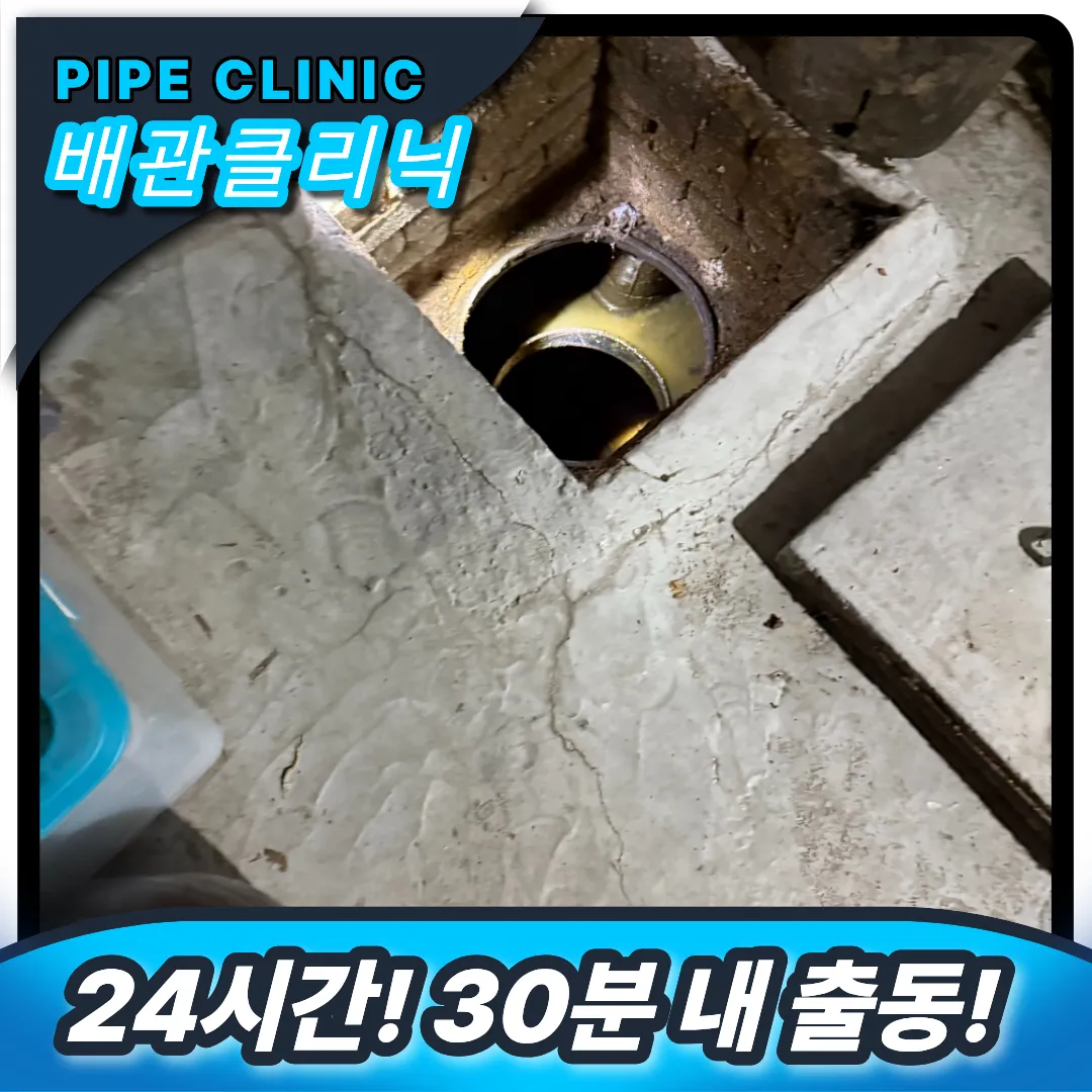 긴급 출동
