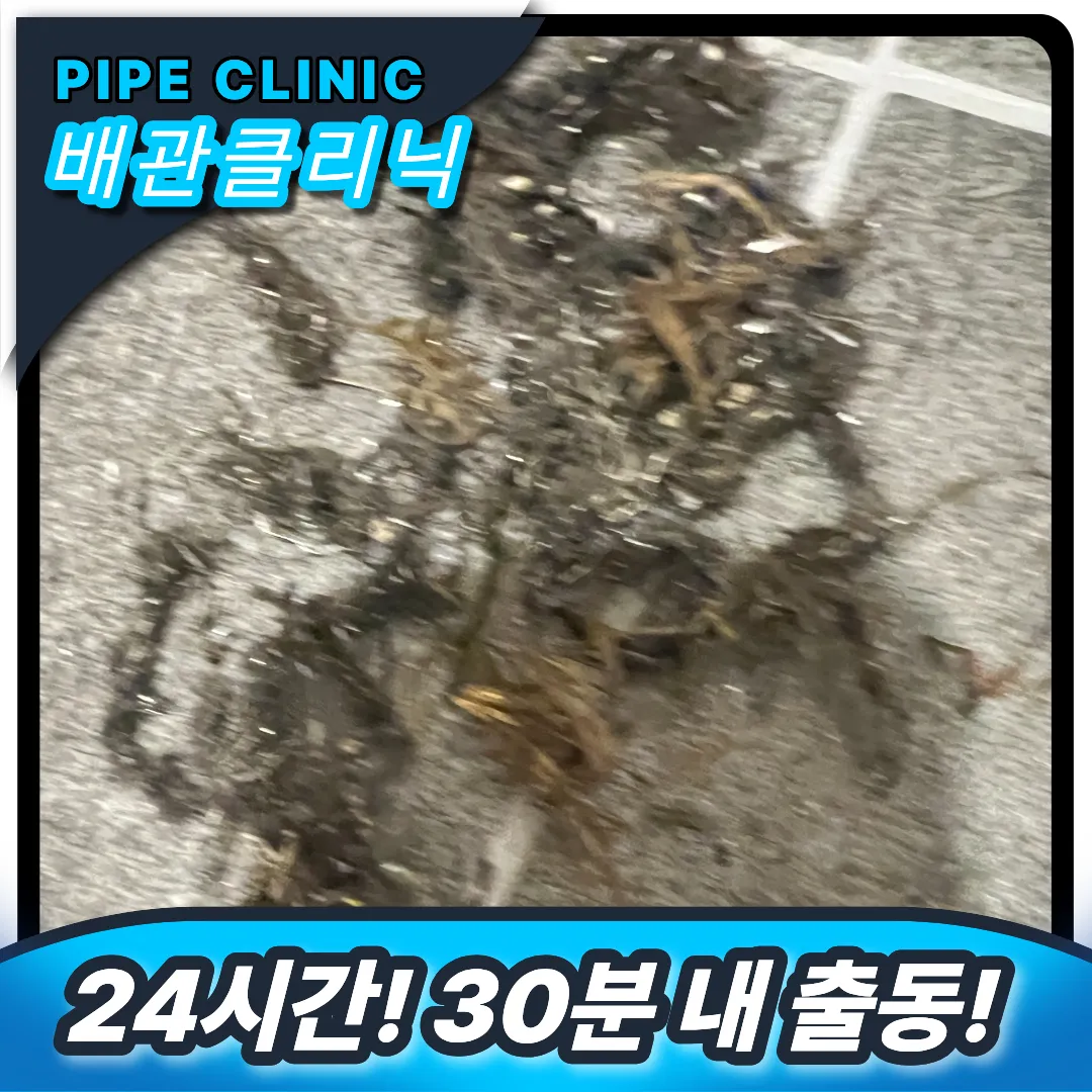 이물질 제거