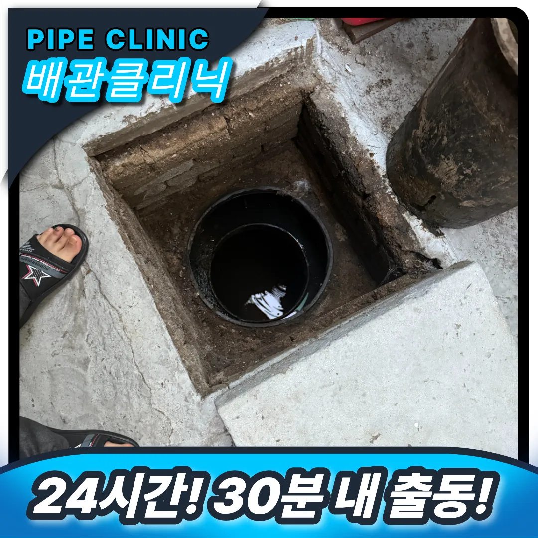 고양시 덕양구 변기역류