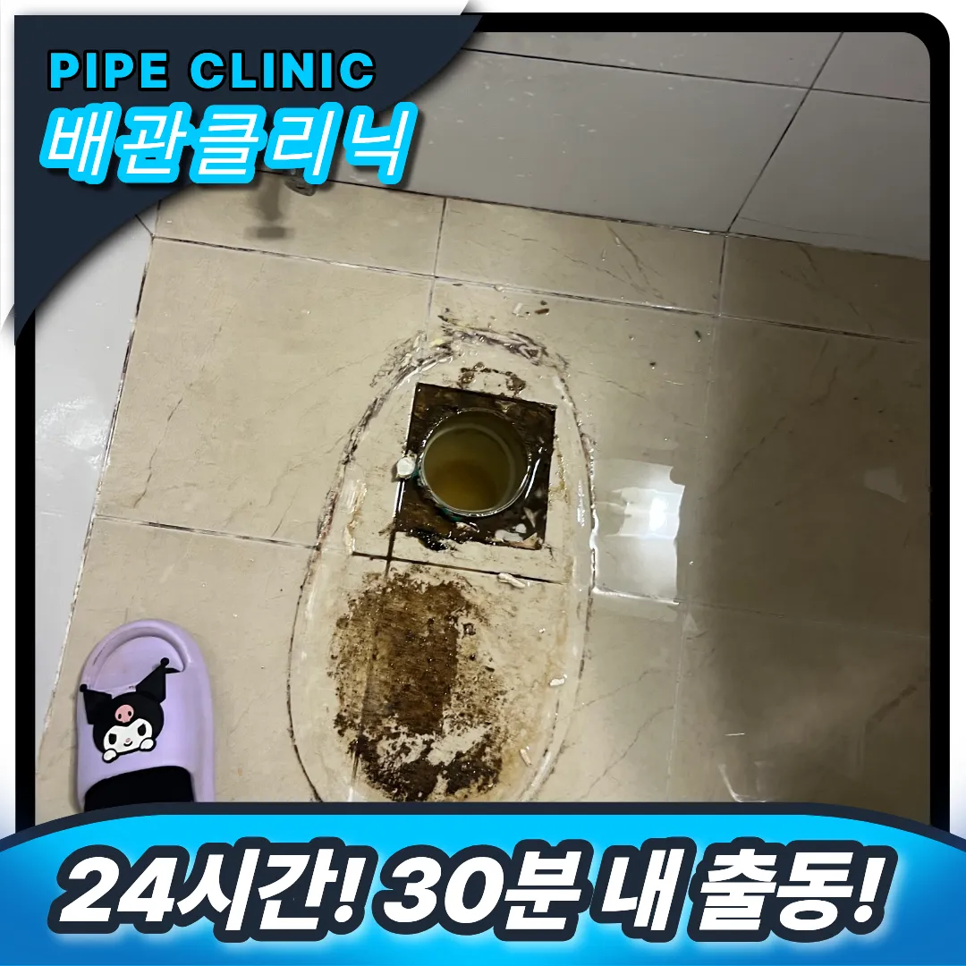변기역류