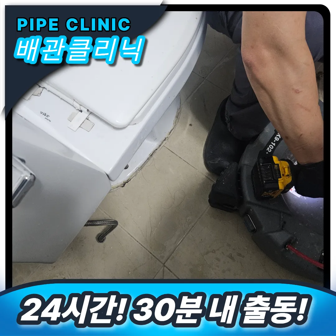 변기역류