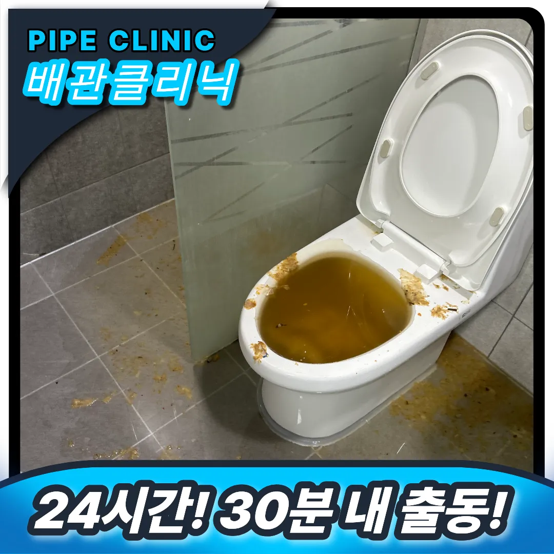 변기역류