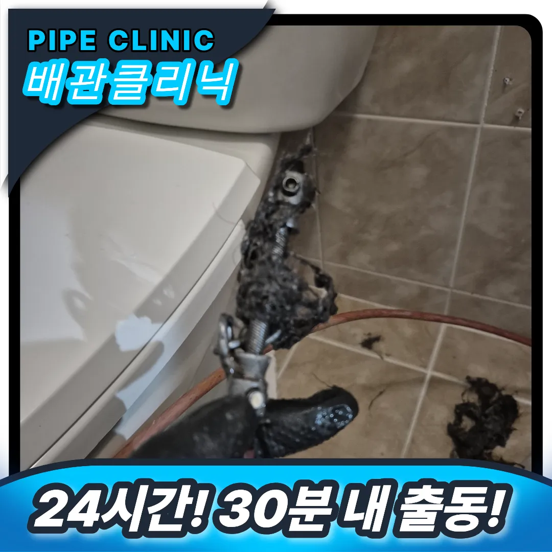 배수구 머리카락