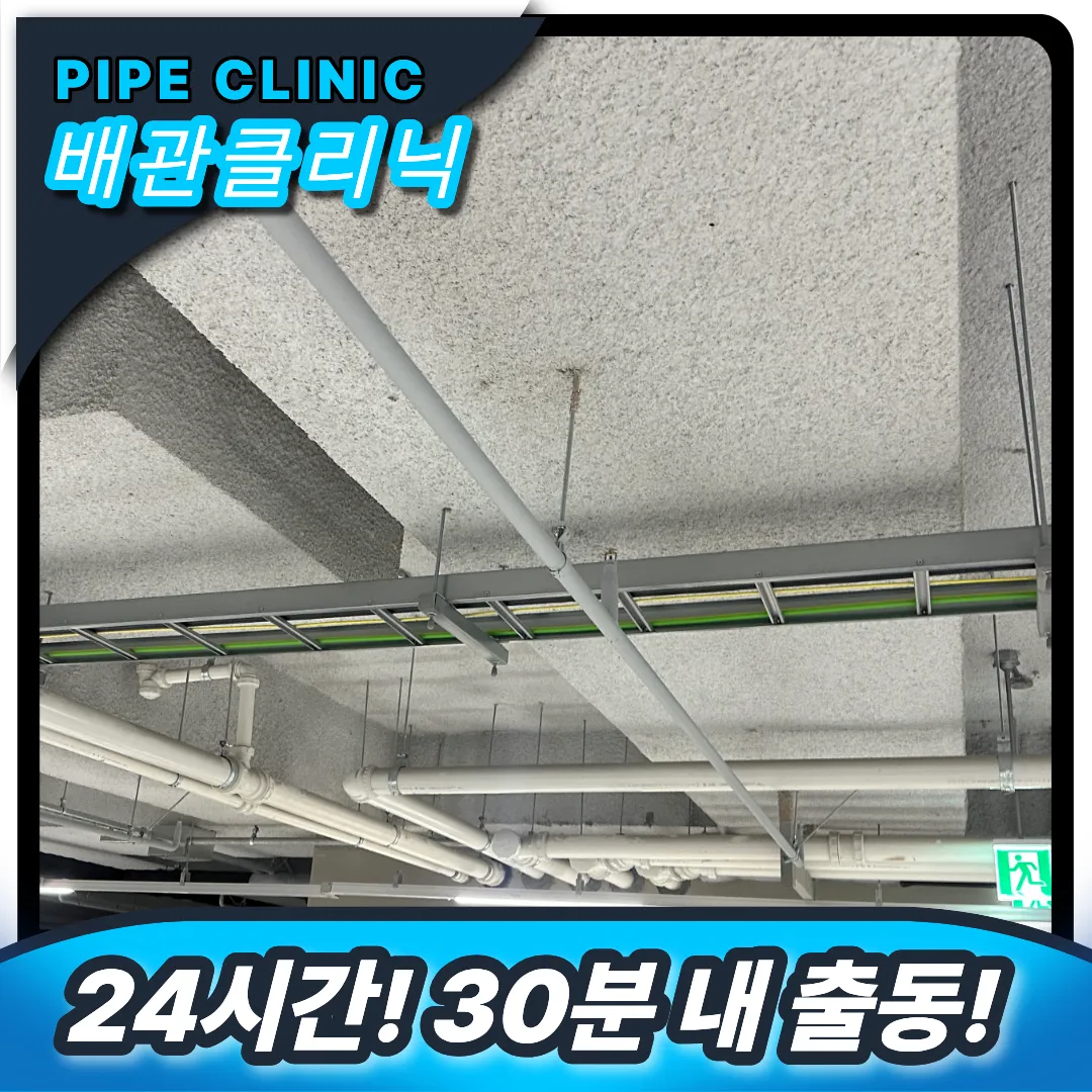 메인 횡주관 막힘