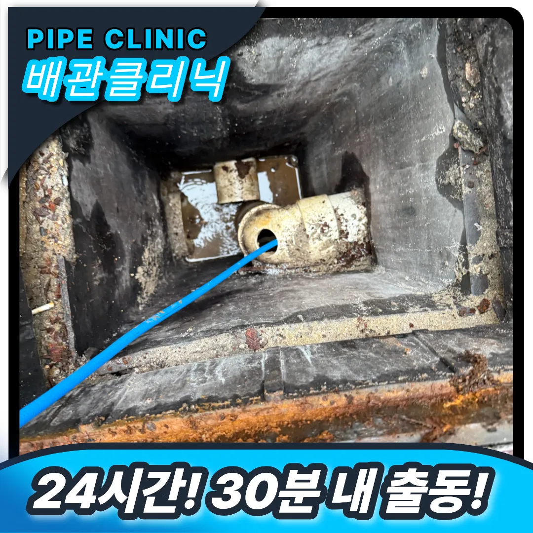 수원시 권선구 정화조막힘