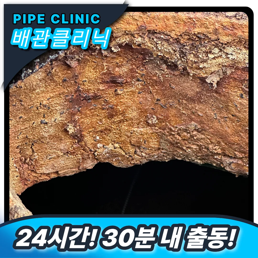 부천 상동 하수구막힘