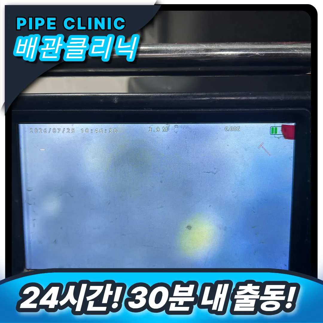 부평구 십정동 변기역류