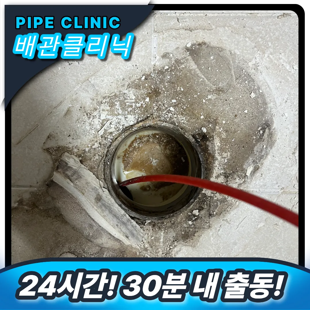 30분 내 출동
