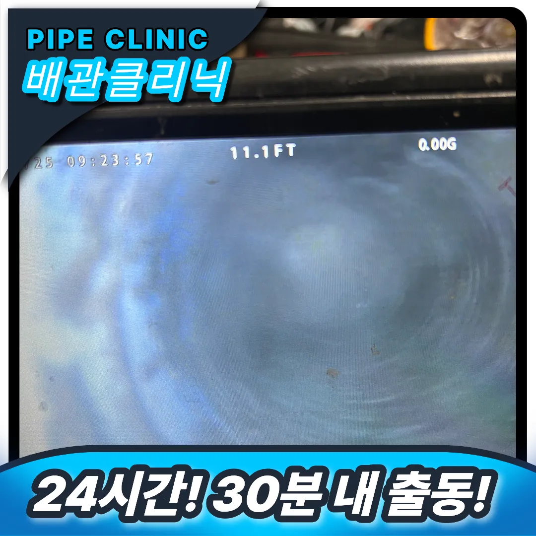 24시 출동