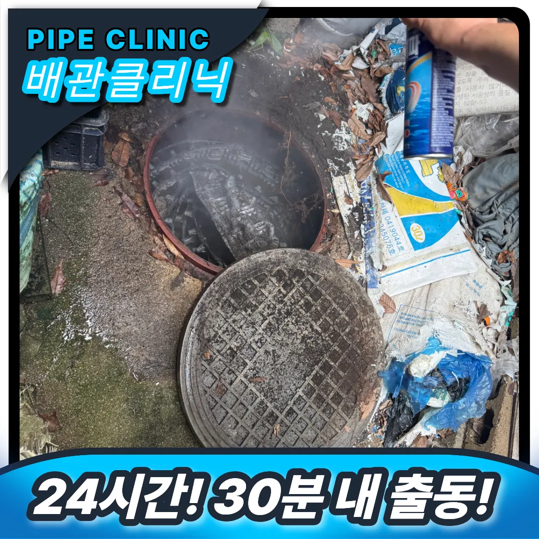 변기 벌레