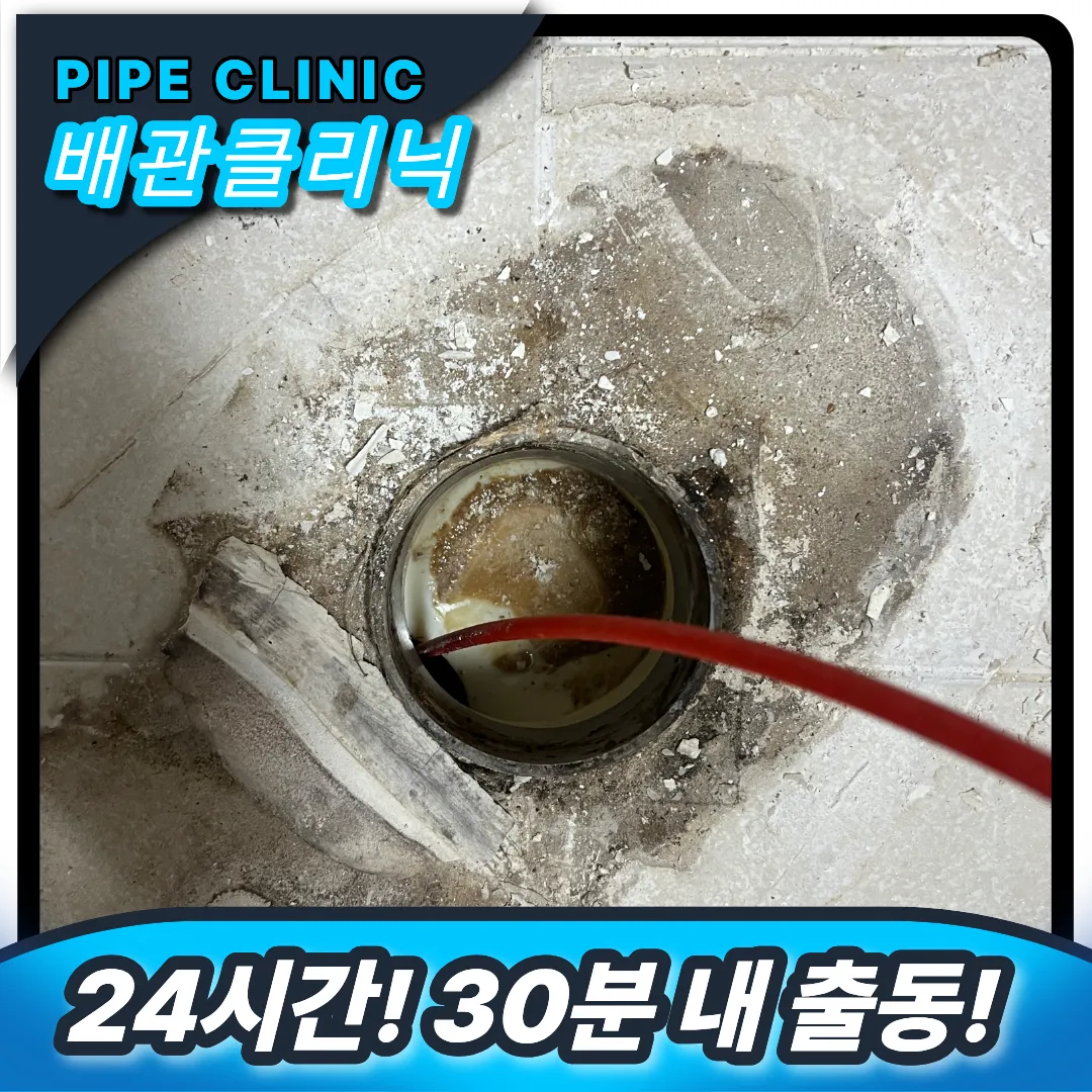 당일 출동