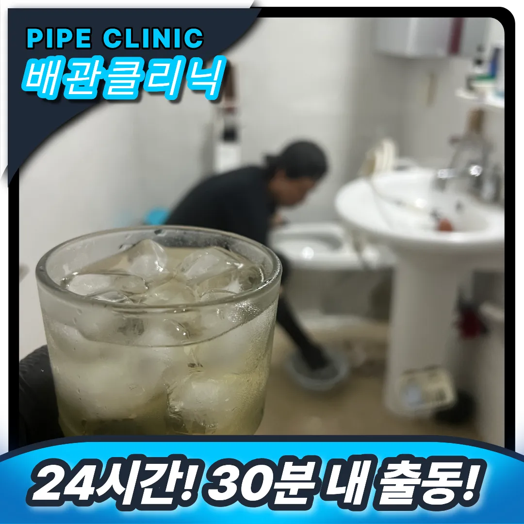변기역류 전문 업체