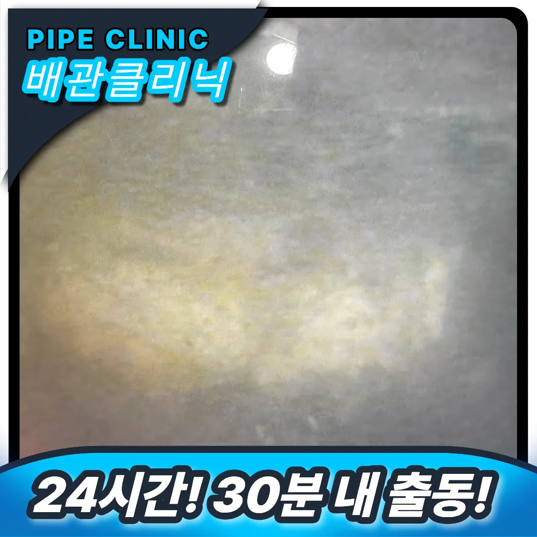 춘천시 하수구역류