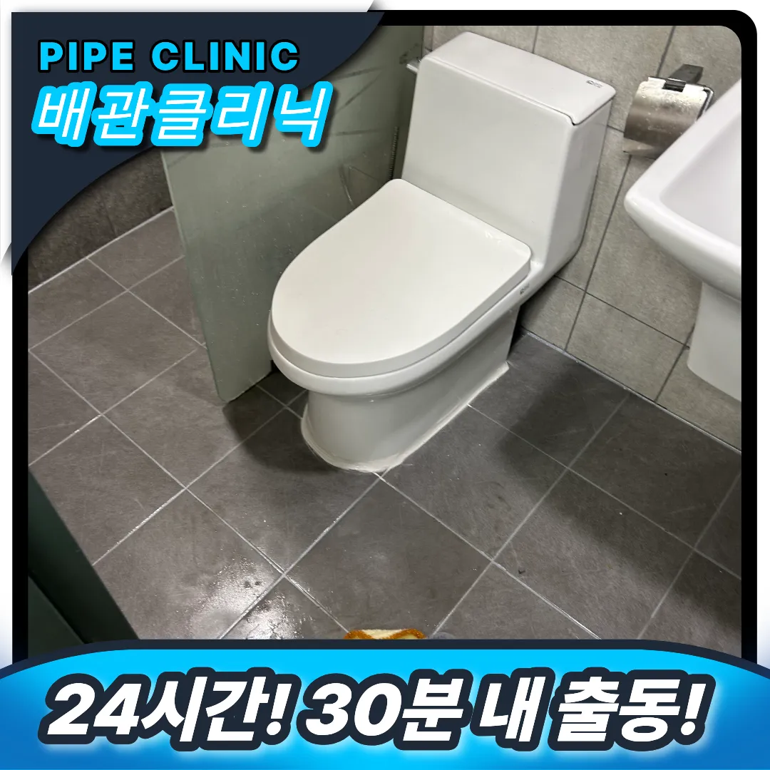 부평구 십정동 변기역류