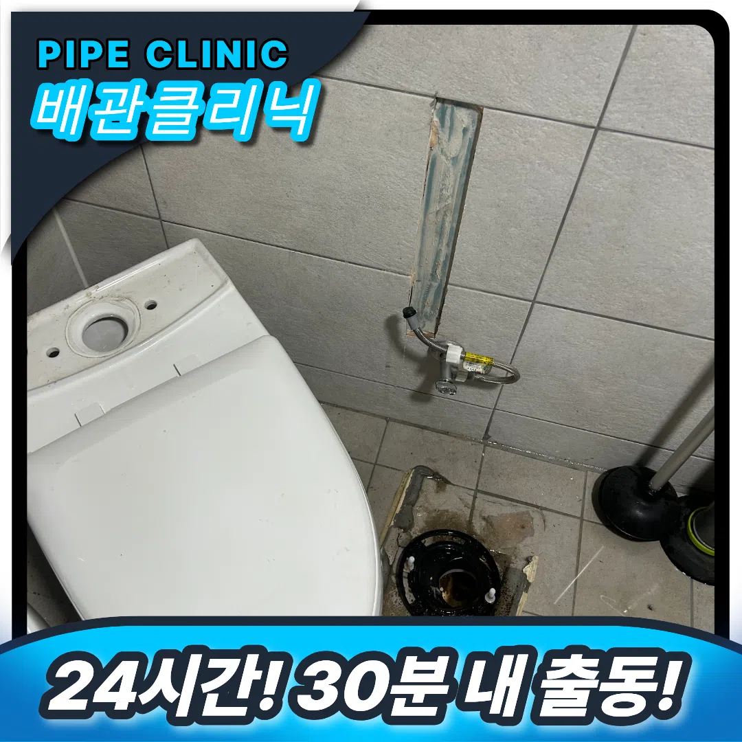 변기역류