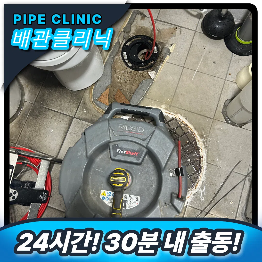 변기역류 원인