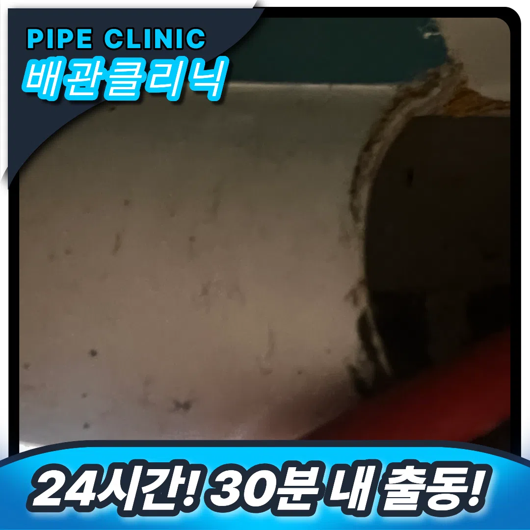 종로 횡주관막힘