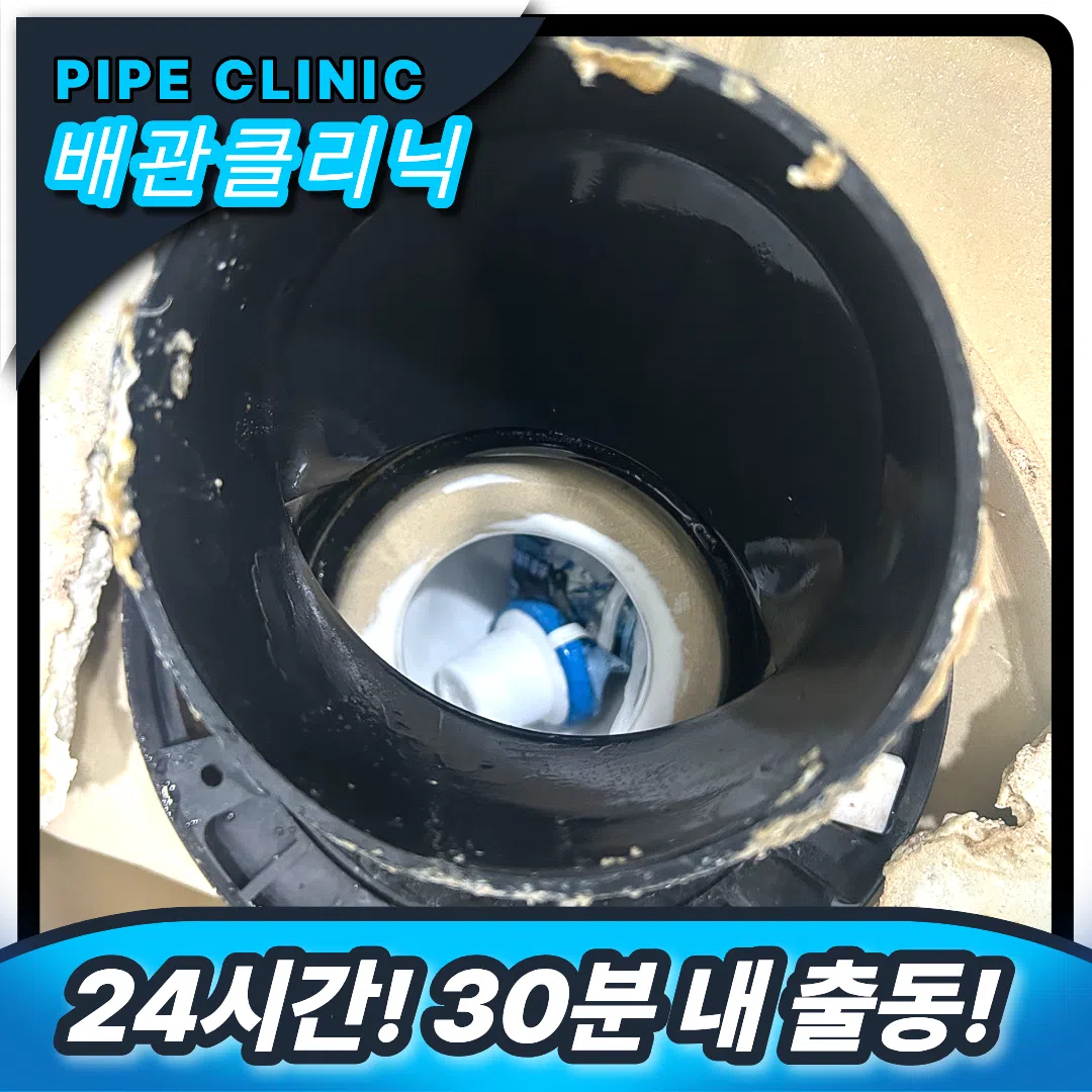 정심 이물질 낌