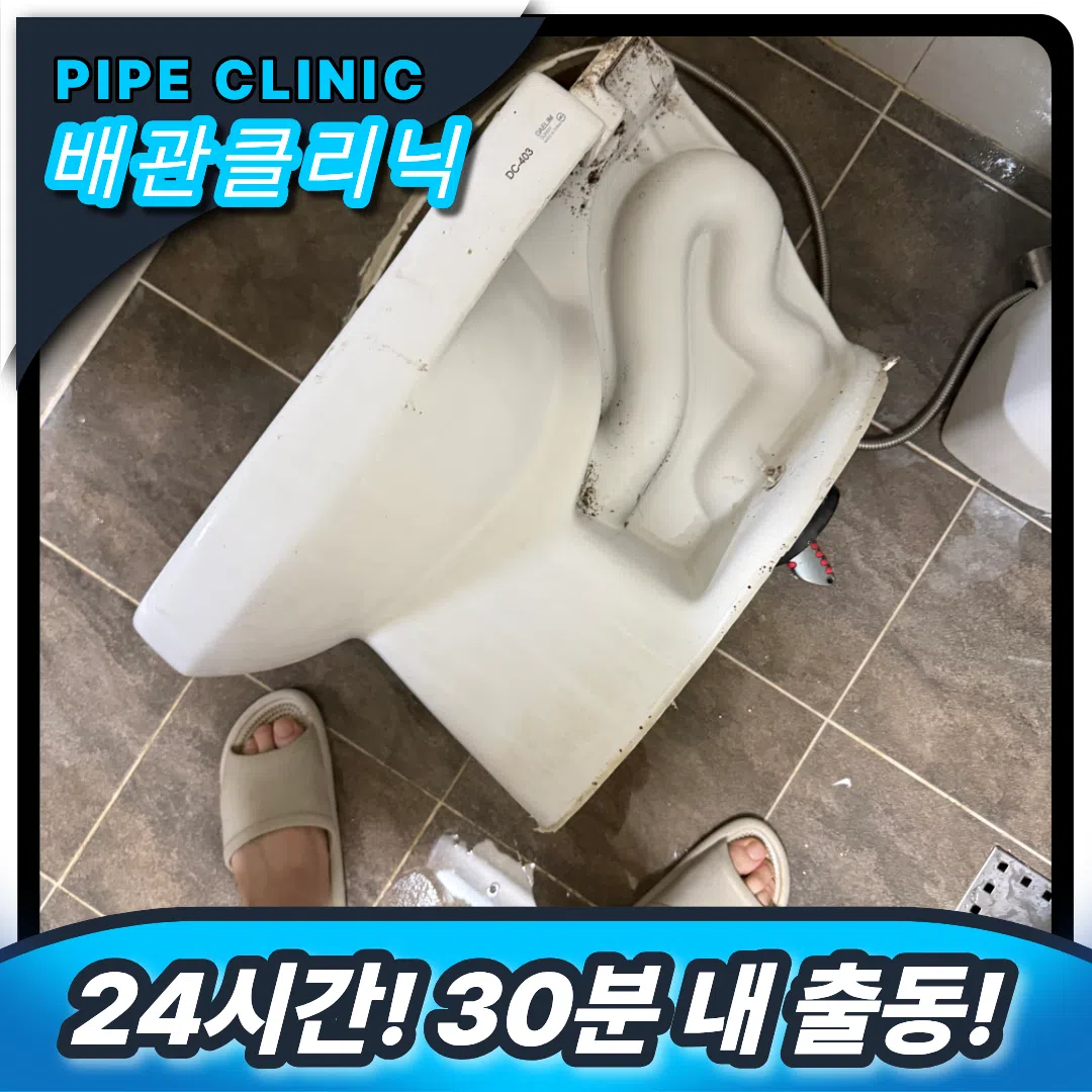 연천 변기 뚫는 곳