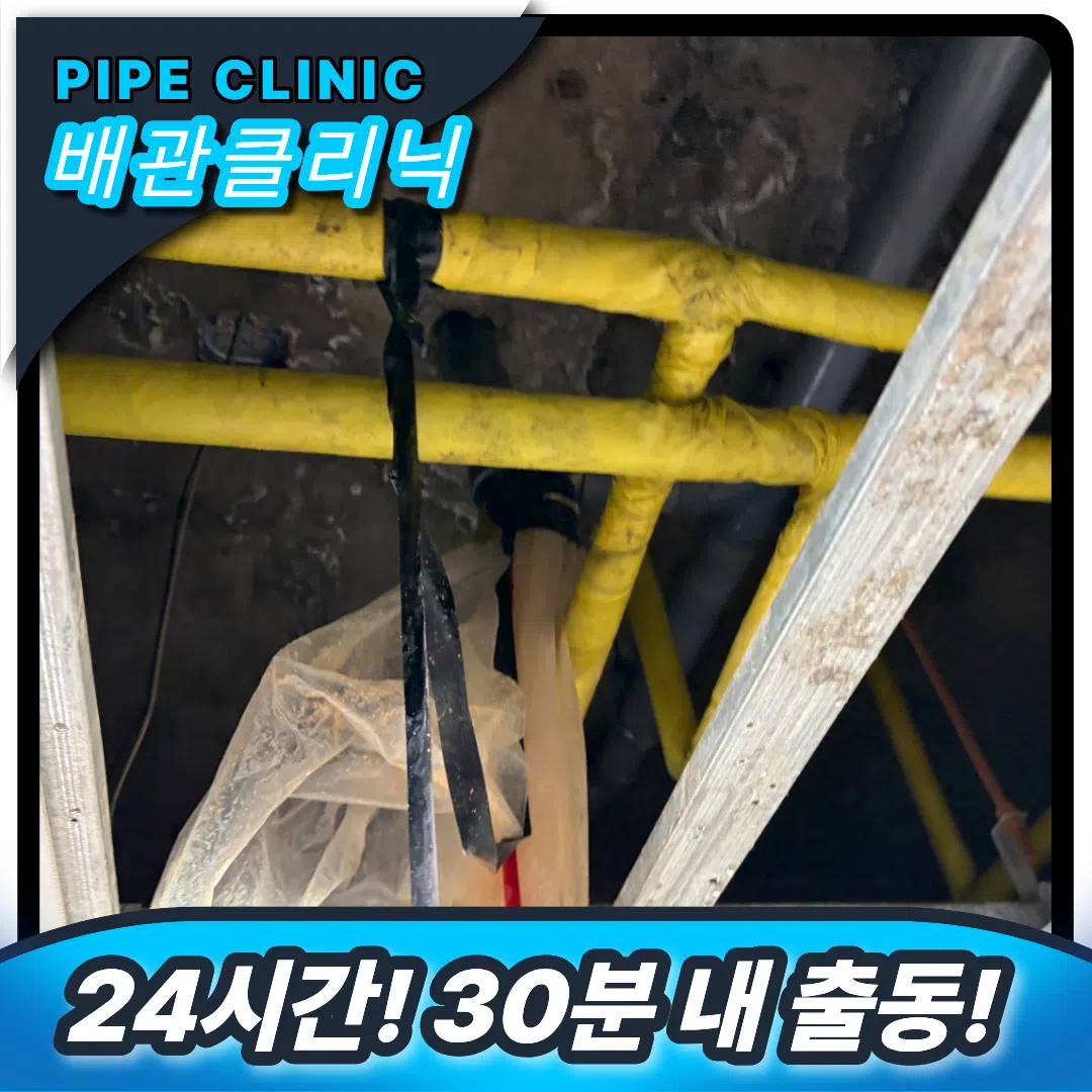 횡주관막힘