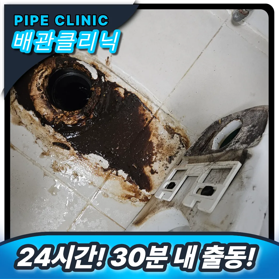 오물 역류