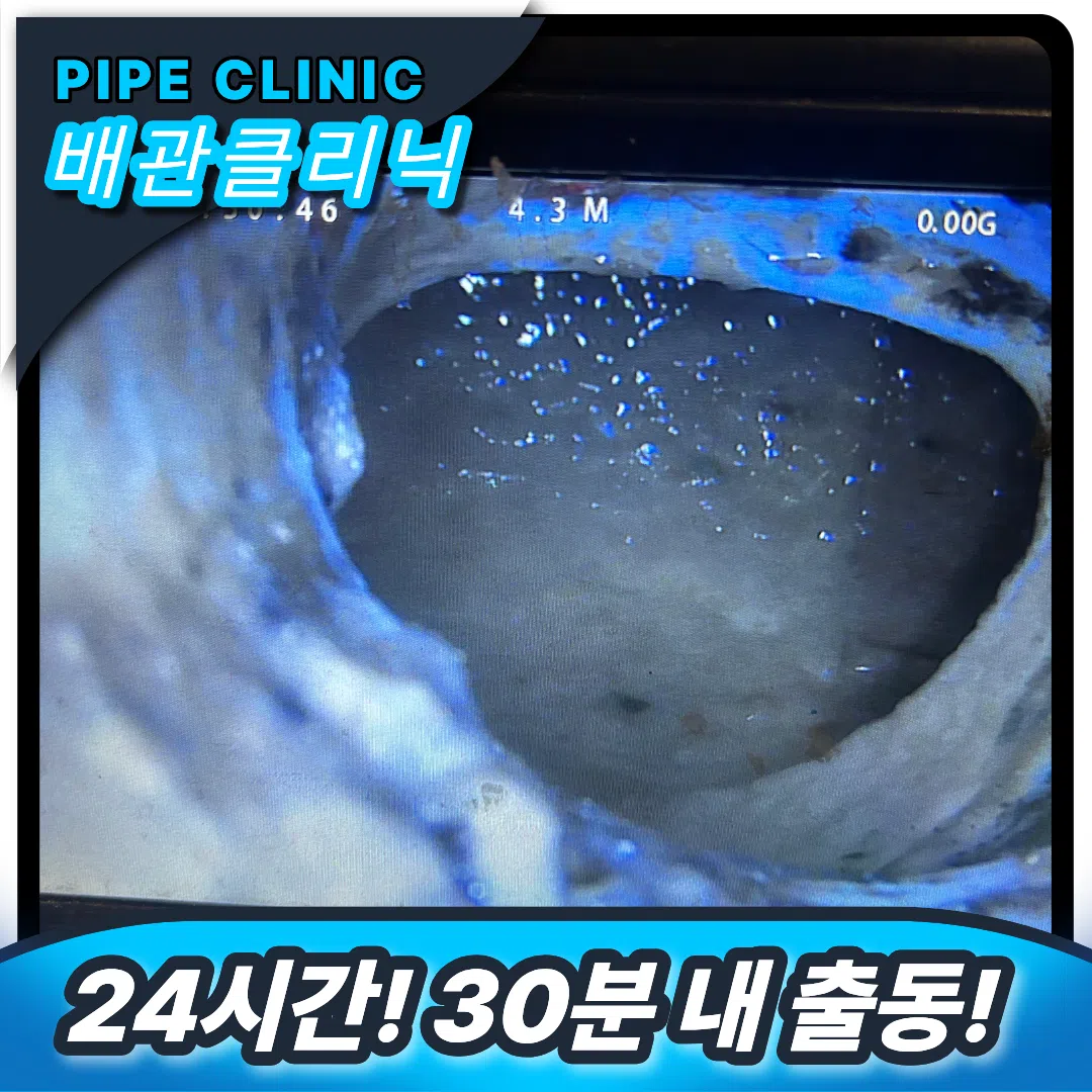 음식물 찌꺼기