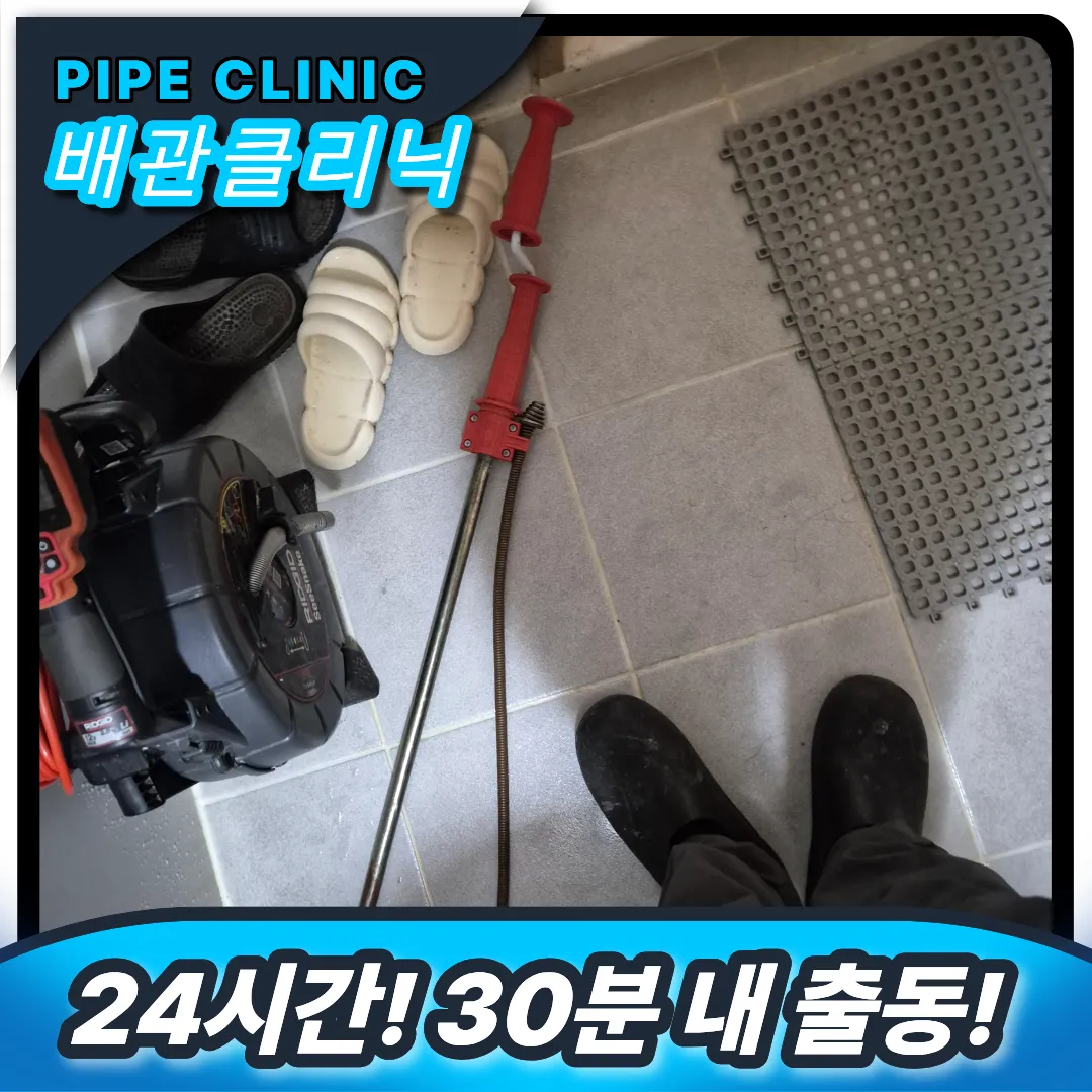 음식물 제거