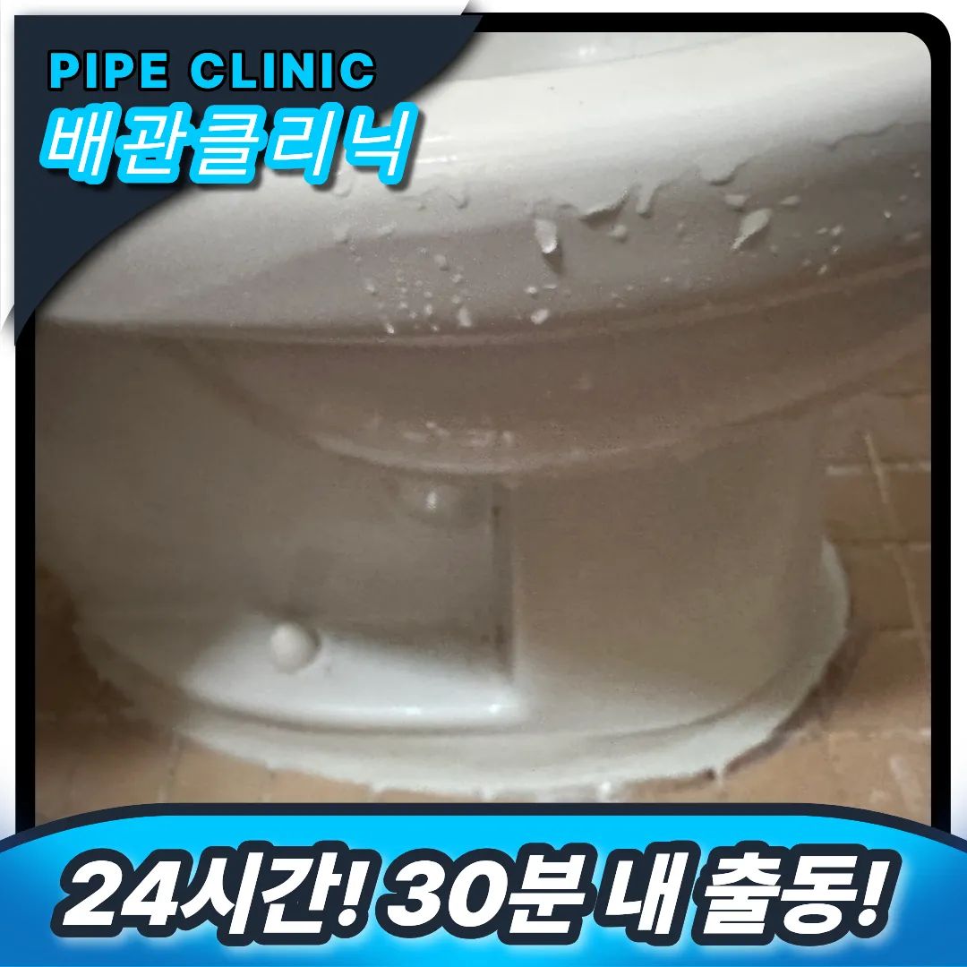 남양주 별내동 변기역류