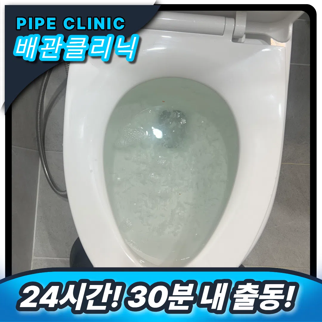 변기역류