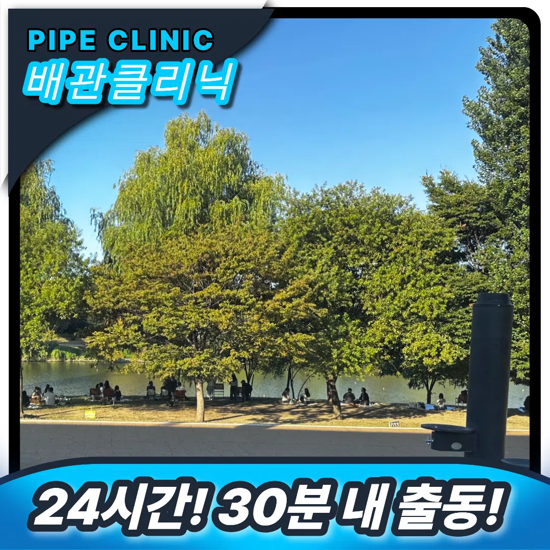 공원하수구막힘