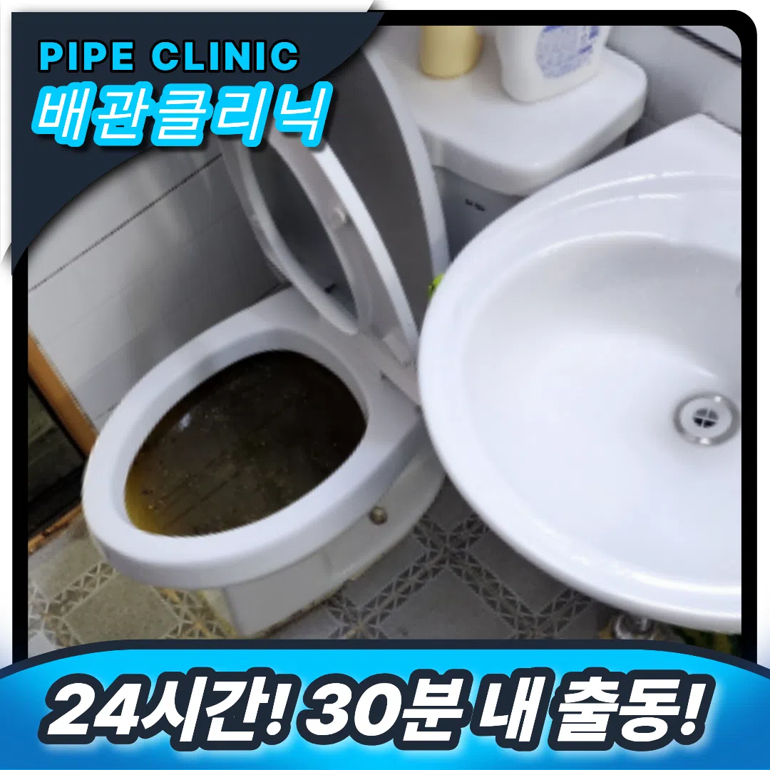 변기역류